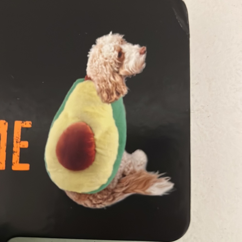 Avocado Halloween Plush Pet Costume - Picture 4 of 11